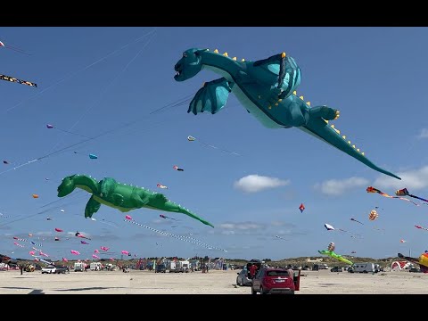International Kite Fliers Meeting, Kite Festival Fanö, Denmark, June 2025,  Drachenfestival Fanö