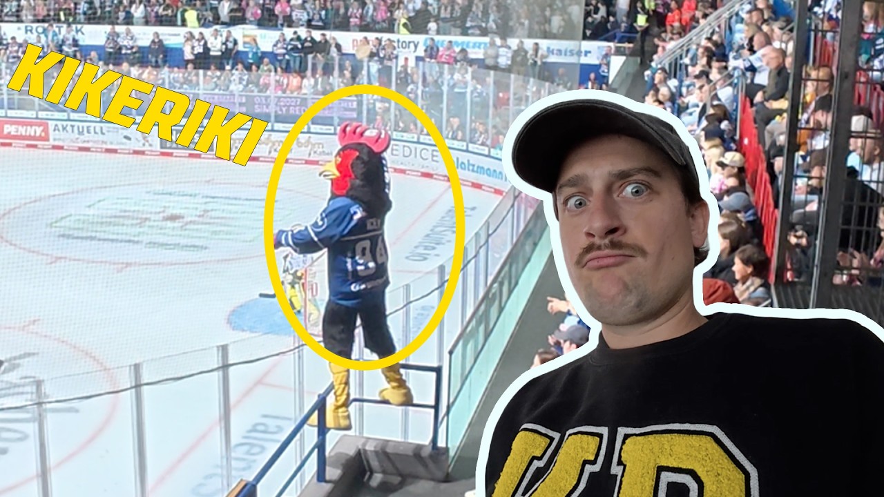 Video: Hahn außer Kontrolle!