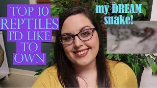 TOP 10 REPTILES I'd Like To Own
