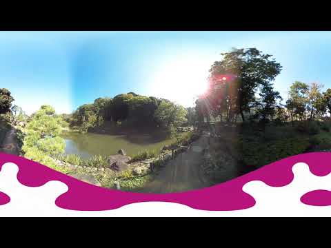 自宅で文京区VR旅行　肥後細川庭園