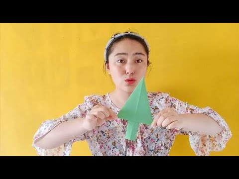 適合乘涼的樹