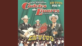 El Palomito (En Vivo)