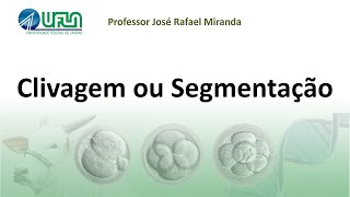 Clivagem ou Segmentação
