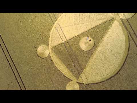 Crop Circle Cow Down, Furse Hill, Wiltshire 6-8-2014