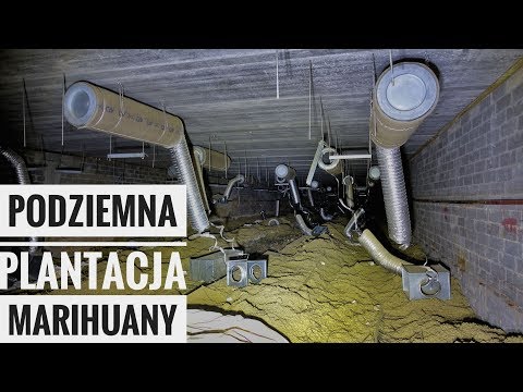 Podziemna Plantacja Marihuany |Urbex #171|