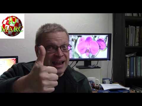 Episode 22 - Amiga has been bought out AGAIN!