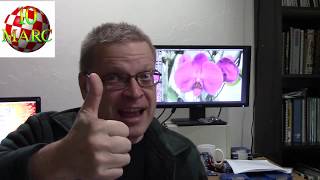 Episode 22 - Amiga has been bought out AGAIN!