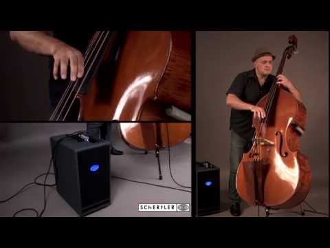 Lafaro Double bass amplifier with DYN-B by Domenico Santaniello