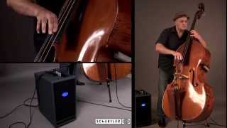 Lafaro Double bass amplifier with DYN-B by Domenico Santaniello