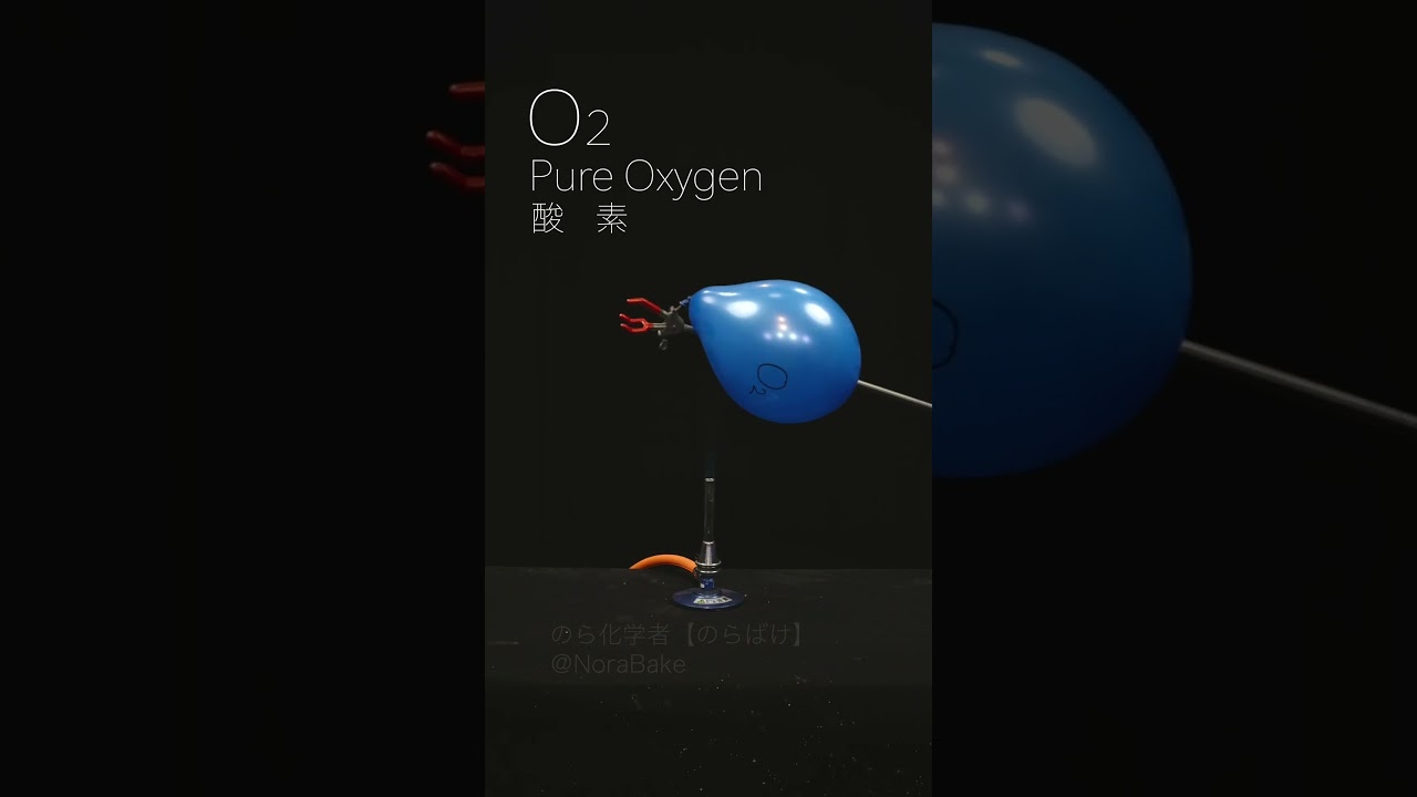 今日の実験! Daily experiment! #experiment  #shorts