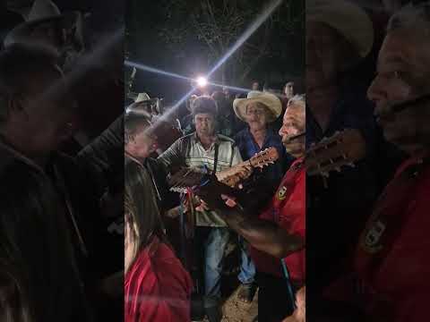 grupo de foliões região dos macacos e ferrerão município de faina Goiás 