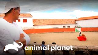 Thumbnail del capítulo