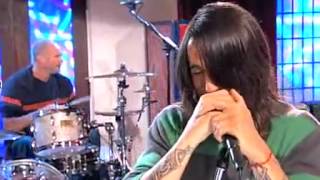 Red hot chili peppers - Scar Tissue (Live)