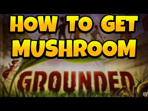 How to Get Mushroom Slurry in Grounded Very Easy