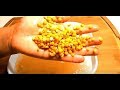 How to cook Yellow Split peas (Kik Wot) Ethiopian vegetarian dish |