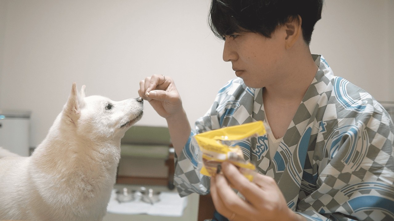 犬連れ旅館で過ごす交際9年目夫婦の誕生日｜vlog