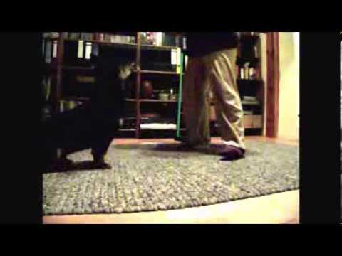 Emil lernt Rückwärts einparken - Teil 2