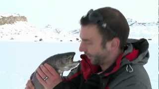 preview picture of video 'Winterperlen Teil 2: Eisfischen'