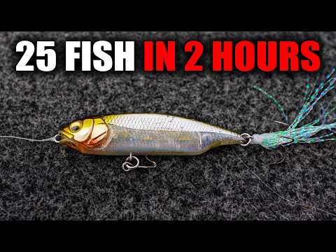 I Caught 25 FISH in 2 Hours Using this tiny Trick