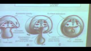 11-Embryology 7/4/2016   [Development of kidney and anomalies]