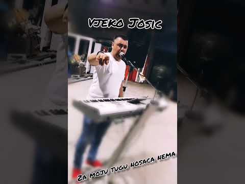 Vjeko Josic - Za moju tugu nosaca nema (Cover 2023)