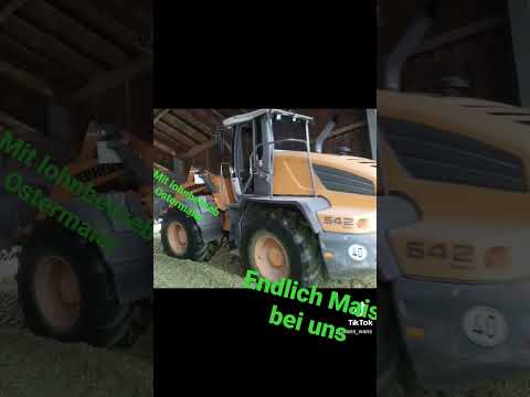 maihäcksen in Isen  in landkreis Erding#mit lohnunternehmen Ostermaier