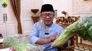 Download lagu Manfaatkan lahan sekitar kita dengan tanaman yang bermanfaat | Herman Suherman Bupati Cianjur mp3 Download lagu Manfaatkan lahan sekitar kita dengan tanaman yang bermanfaat | Herman Suherman Bupati Cianjur mp3