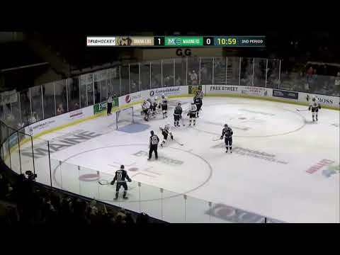 Maine Mariners vs. Newfoundland Growlers highlights - 4/15/22