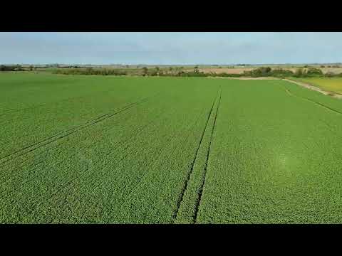 LLAMBI CAMPBELL, SANTA FE