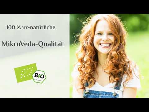 MikroVeda Schimmelbehandlung