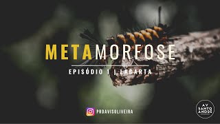 METAMORFOSE - Parte 1(Lagarta) | Davis Oliveira
