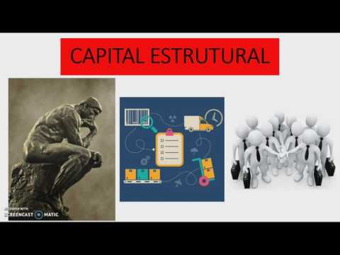 Capital Intelectual