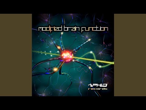 Modified Brain Function (Original Mix)