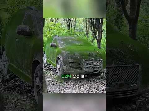 풀과 진흙에 뒤덮인 버려진 자동차! 청소 후 놀라운 변신 😱🚗