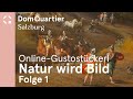 Online-Gustostückerl: Natur wird Bild. Österreichische Barocklandschaften - Folge 1