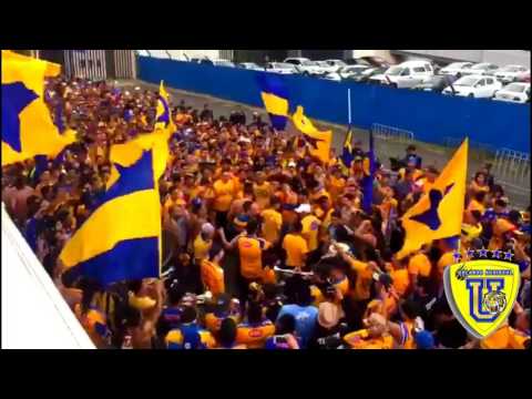 "La Hinchada de Tigres en Querétaro" Barra: Libres y Lokos • Club: Tigres