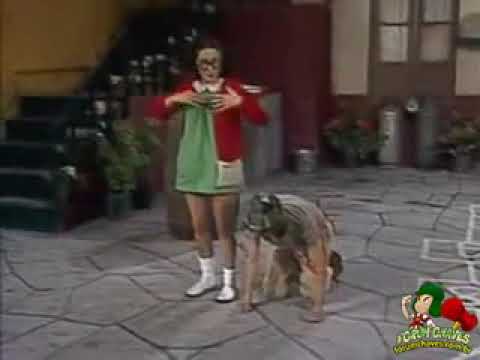 Chaves - clipe peludinho