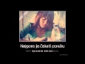 Elma Sinanovic- Sat sto kasni ( Kneginja) 