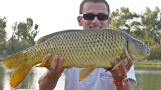 preview picture of video 'Pesca al Lago Vestina Azzurro di Montesilvano'