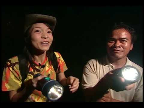 BI09_蘭嶼的都都霧蘭嶼角鴞