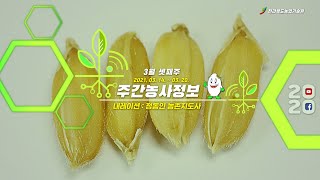 [ 주간농사정보 ] 3월 셋째주