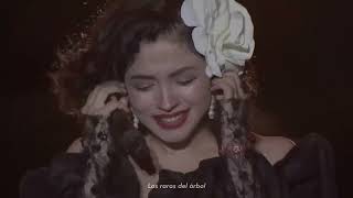 La nave del olvido (Mon Laferte - Tribute to José José / English Lyrics)