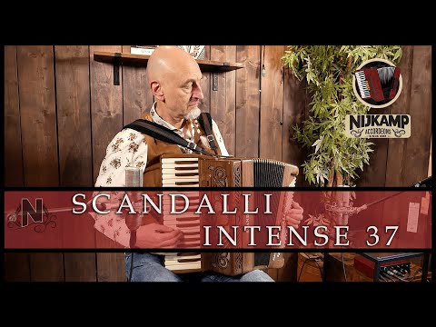 Scandalli Intense 37 // Beautiful Wooden Accordion