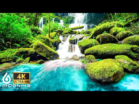 4K HDR Forest River - Ambient Study Music To Concentrate - Relaxing Nature Video