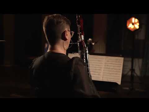 Koniro - Året du dro og kom tilbake av Liv Andrea Hauge