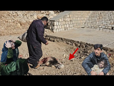The miraculous rescue of a sheep in the heart of the mountains by Hussein's father