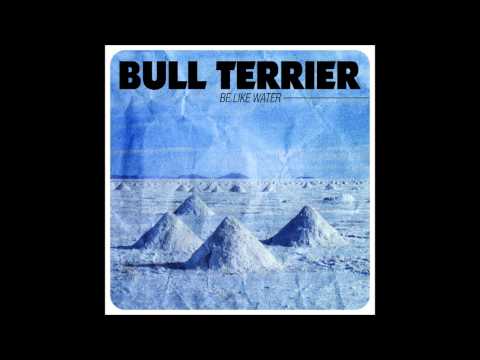 Bull Terrier 