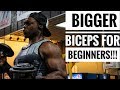Build Bigger Biceps For Beginners & Teenagers