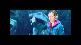 Harry Potter and the Deathly Hallows Part 2 In the Chamber of Secrets Alexandre Desplat.flv