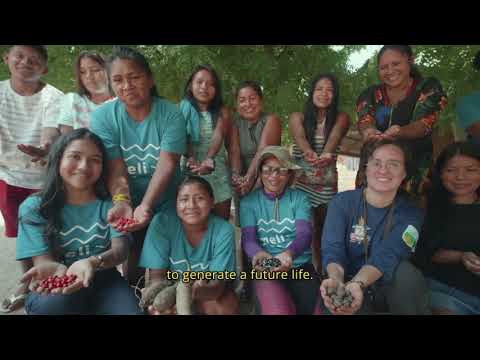 Indigenous Agroforestry to Revive Food Sovereignty